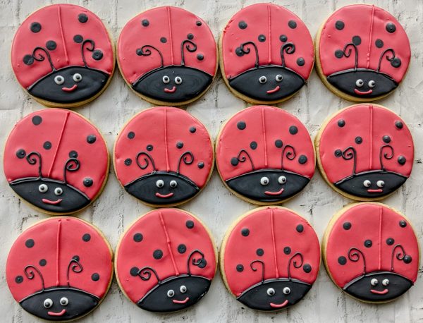 One Dozen Custom Decorated Cookies - Image 21